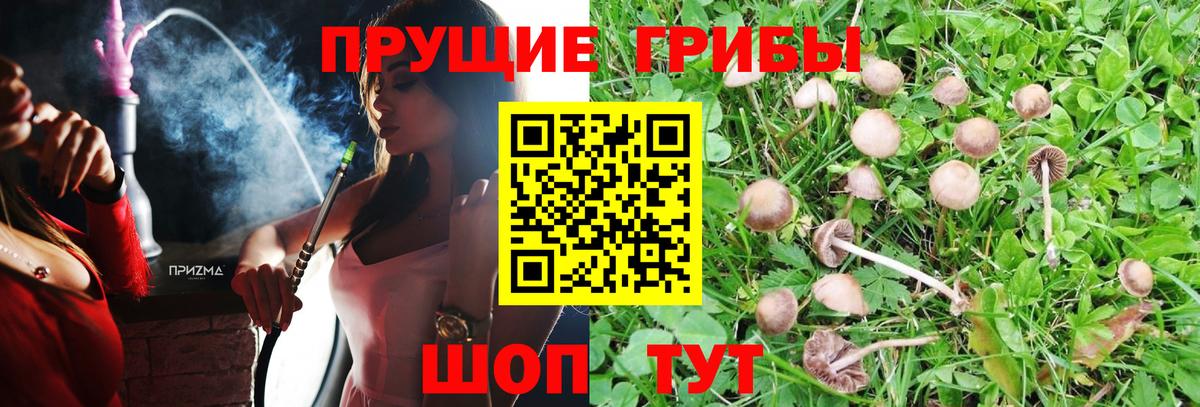 Псилоцибиновые грибы Magic Shrooms  Псилоцибиновые грибы Psilocybine cubensis  Лиски  Вход с VPN 