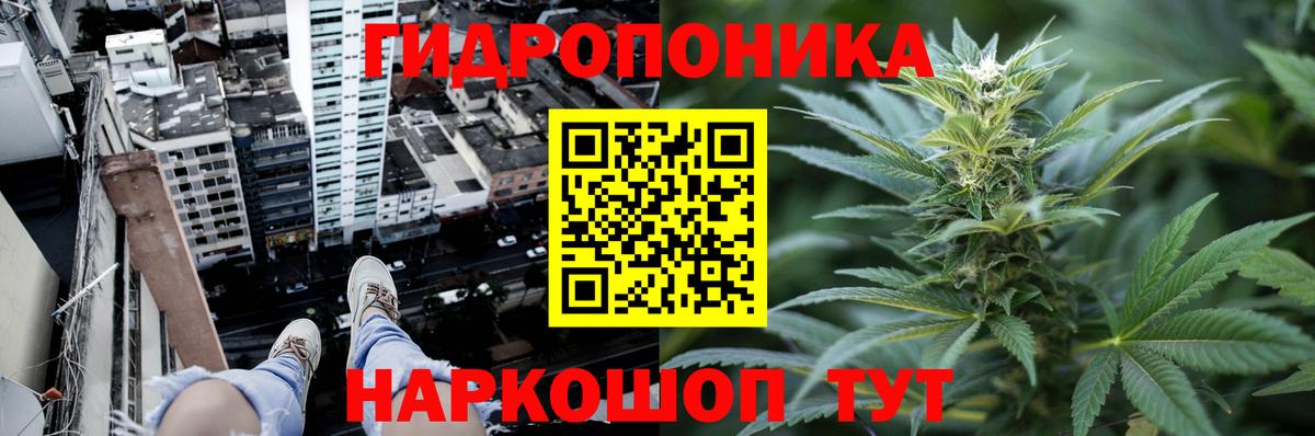 Канабис OG Kush Лиски